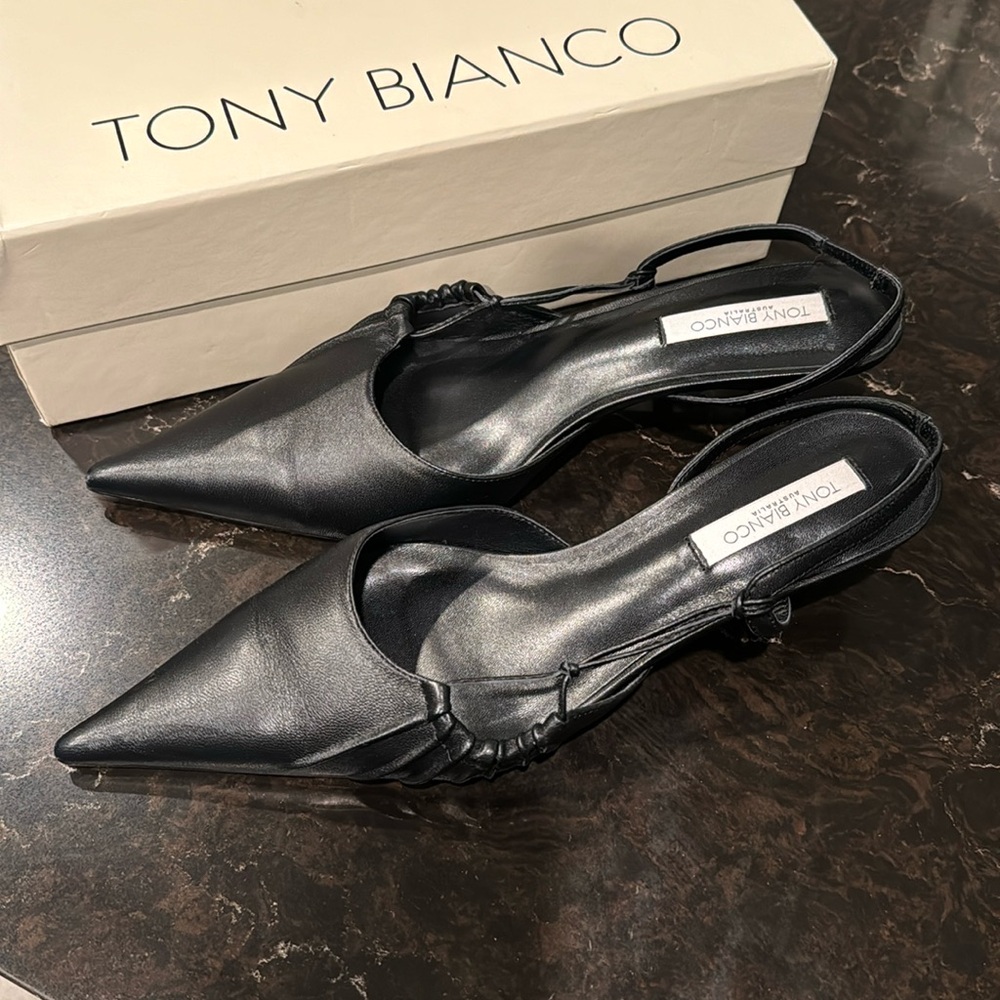 Black pointed toe shoes ; Tony Bianco ; Kramer Black Napa ; great condition;
